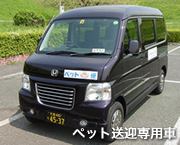 �y�b�g���}��p��